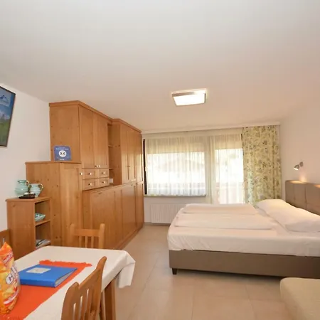 Apartmán Studio Kitzview